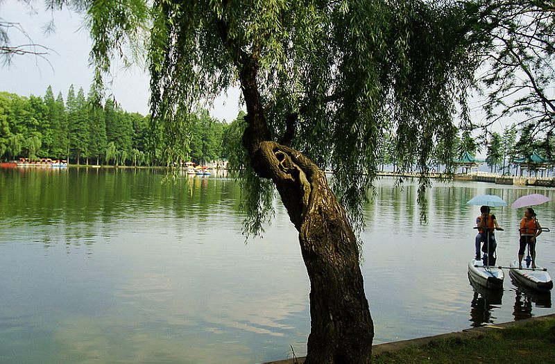 dsc00560.jpg
