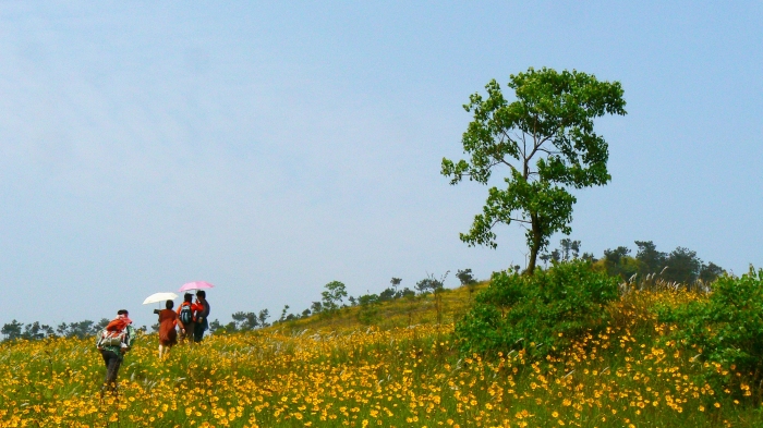 p1290353.jpg