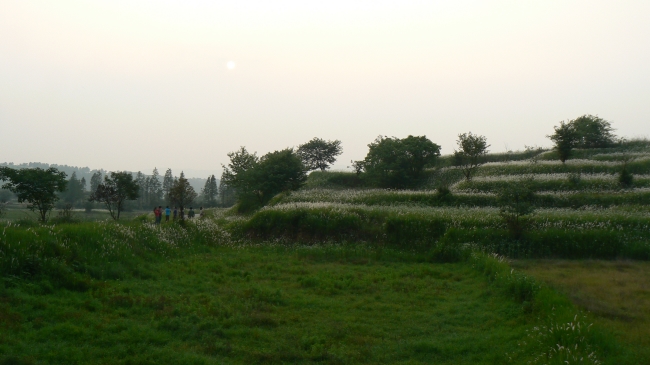 p1290464.jpg