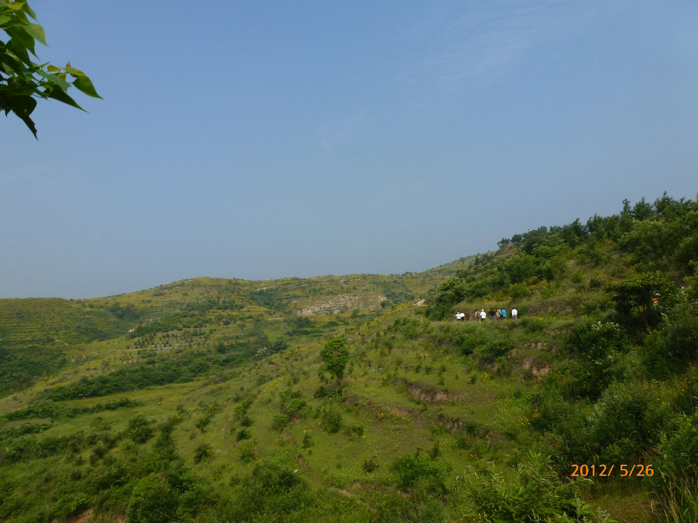 p1040790.jpg