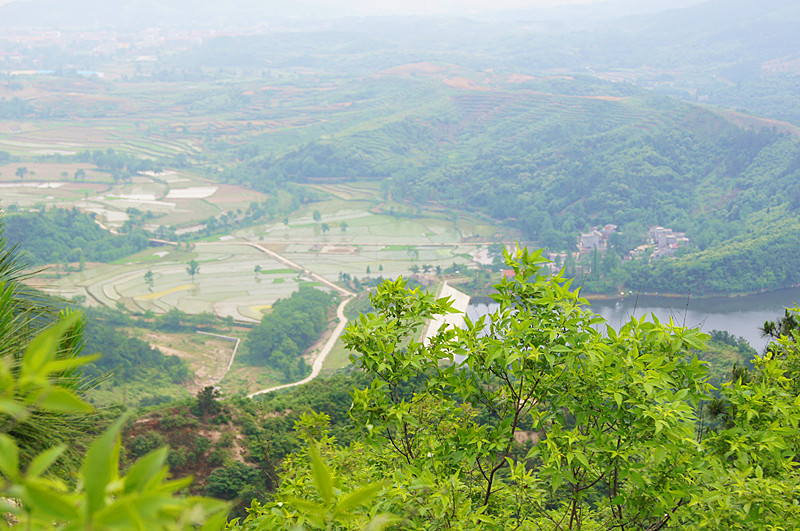 191.jpg