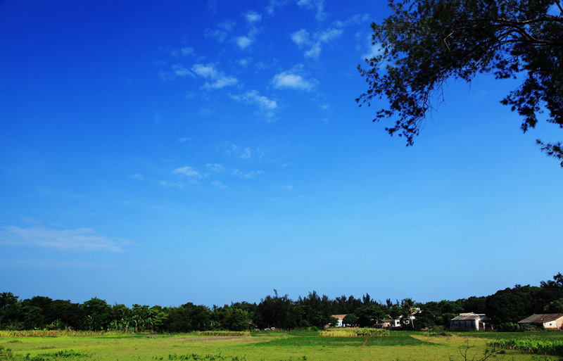 _mg_7207.jpg
