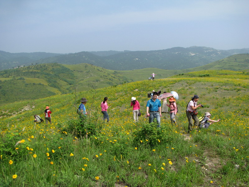 img_4212_СС.jpg
