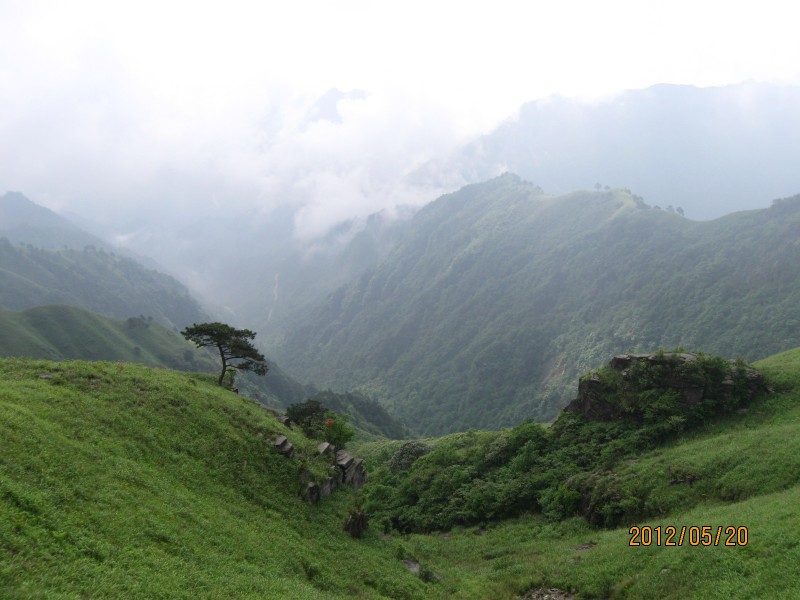 conew_img_5066.jpg