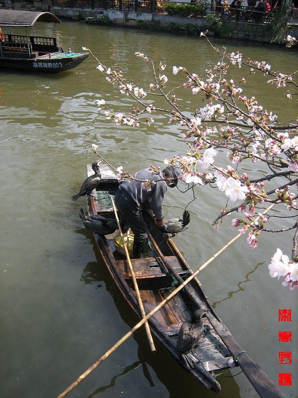 下江南--西塘3a.jpg