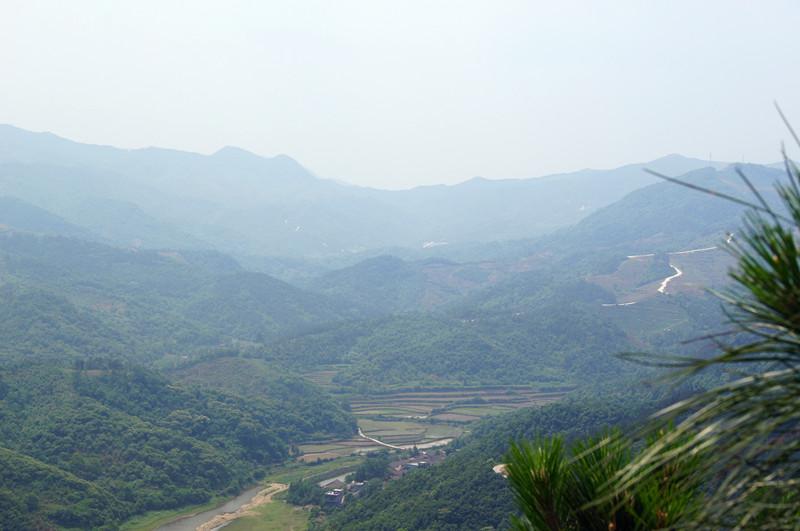 194.jpg