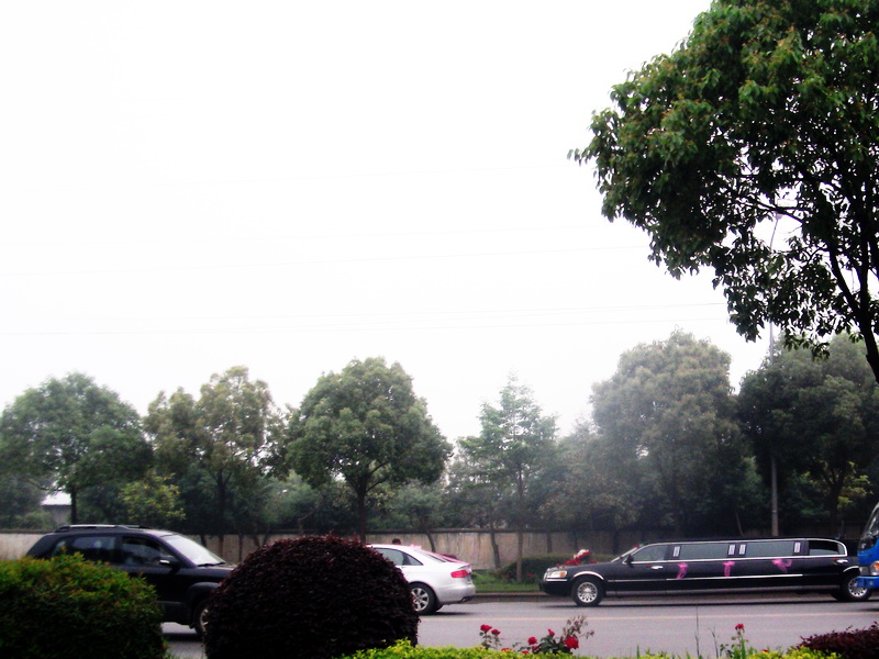 dscf0156.jpg