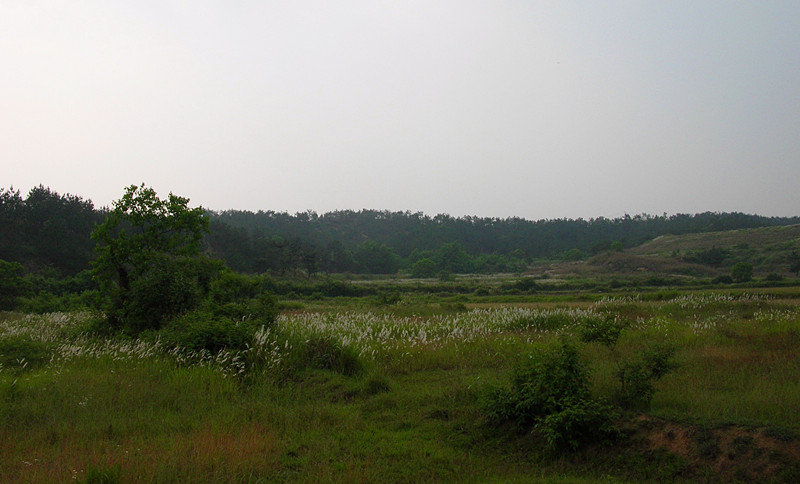 dscn0646_.jpg