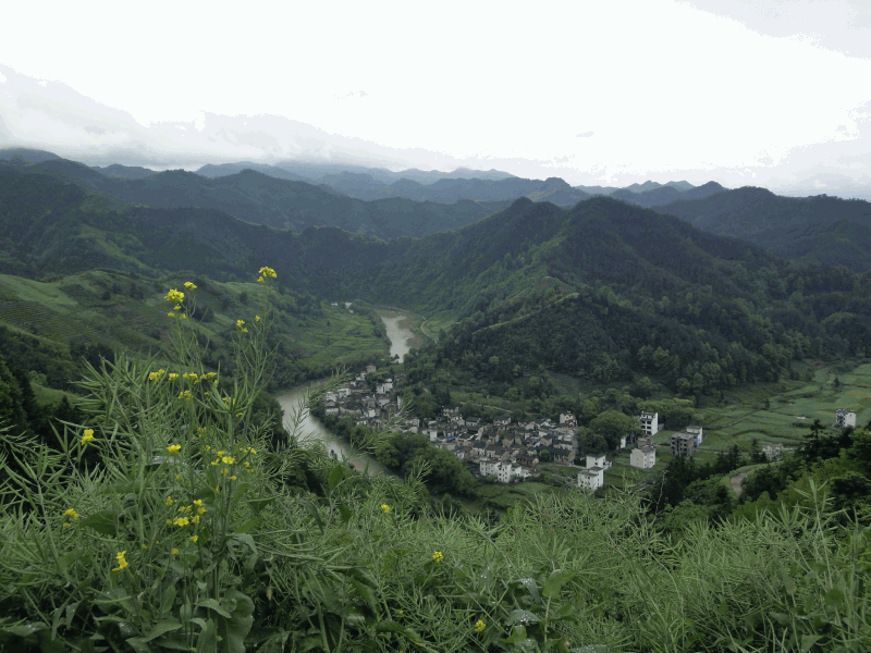 dsc09039.gif