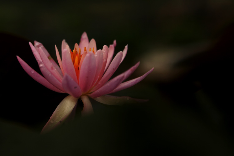 img_7460.jpg