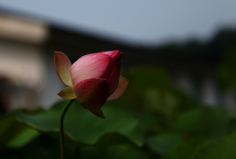 img_7472.jpg