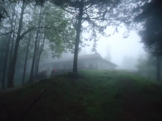 010.jpg