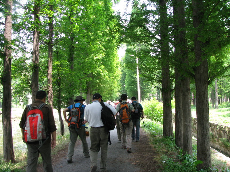 img_4251_СС.jpg