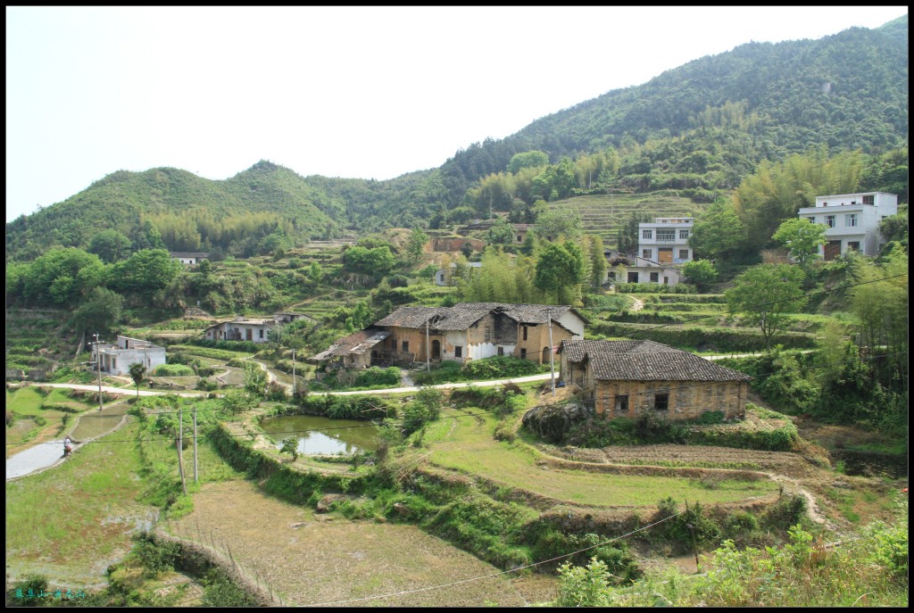 conew_img_5481.jpg