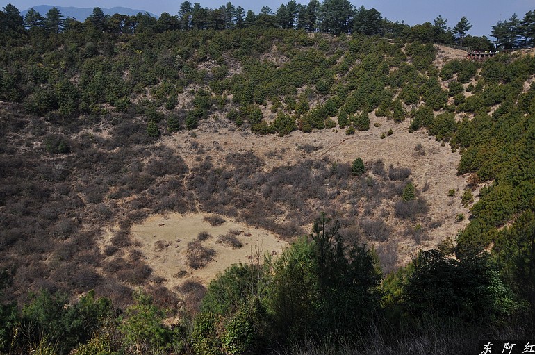 dsc_0545.jpg