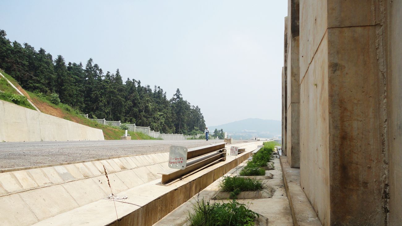 neo_img_dsc07428.jpg