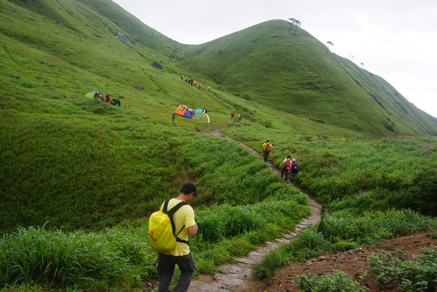武功山499.jpg
