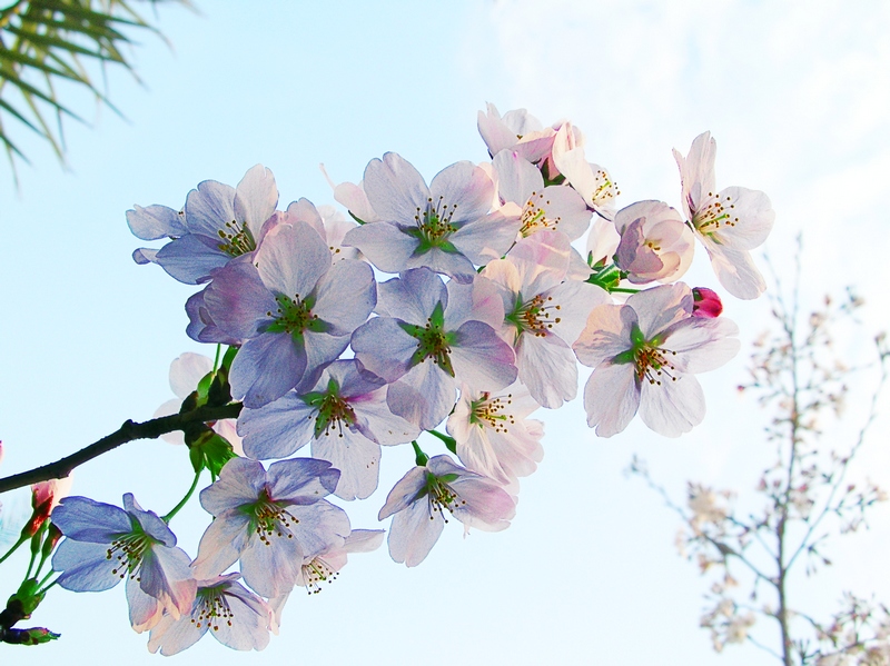 dscn439600.jpg