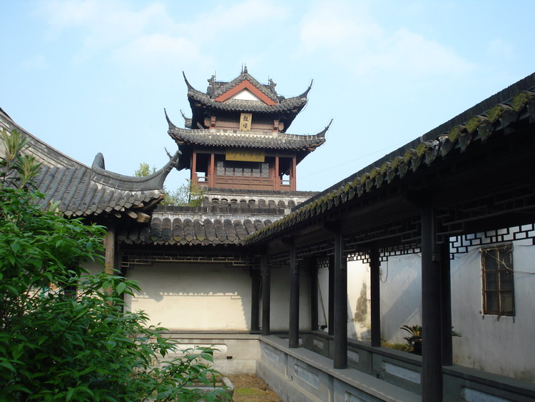 dsc08342.jpg