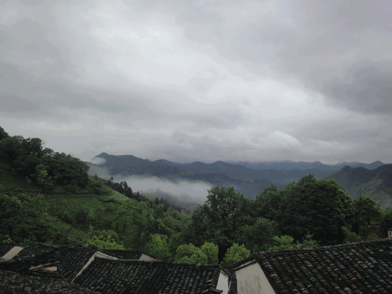 dsc09052.gif