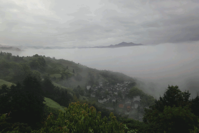 dsc09064.gif