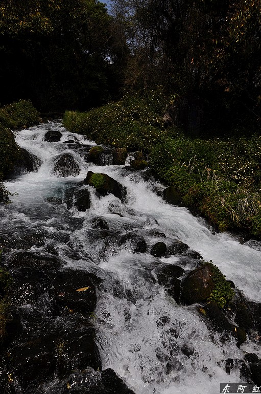 dsc_0595.jpg