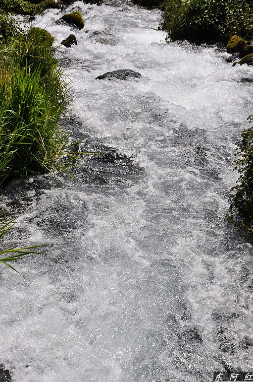 dsc_0598.jpg