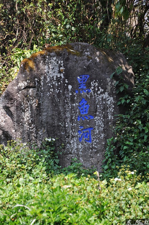 dsc_0596.jpg