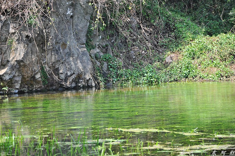 dsc_0606.jpg
