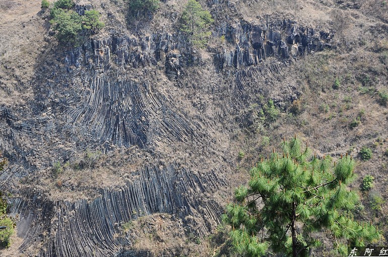 dsc_0580.jpg