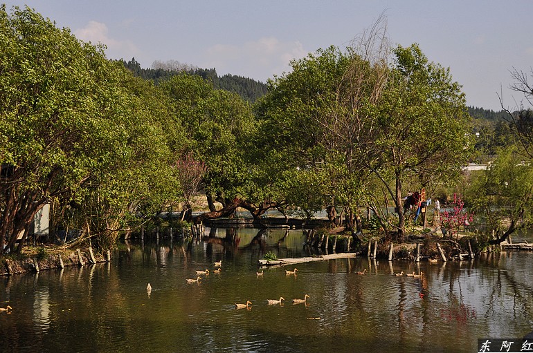 dsc_0699.jpg