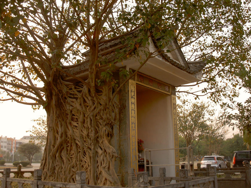 dscn4063.jpg