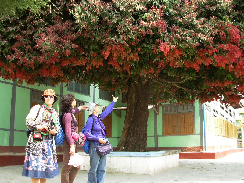 dscn4016.jpg