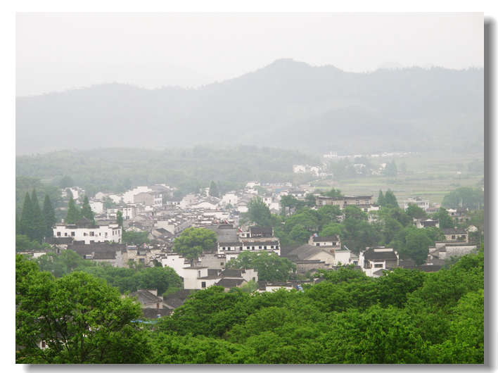 20111127 152.jpg