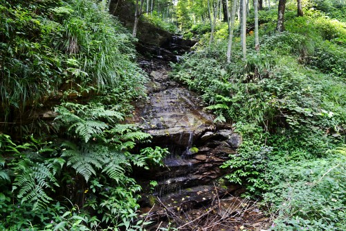  054_conew1.jpg