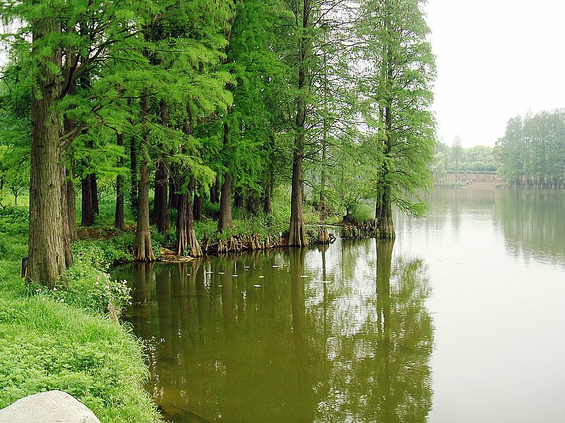dsc 270.jpg