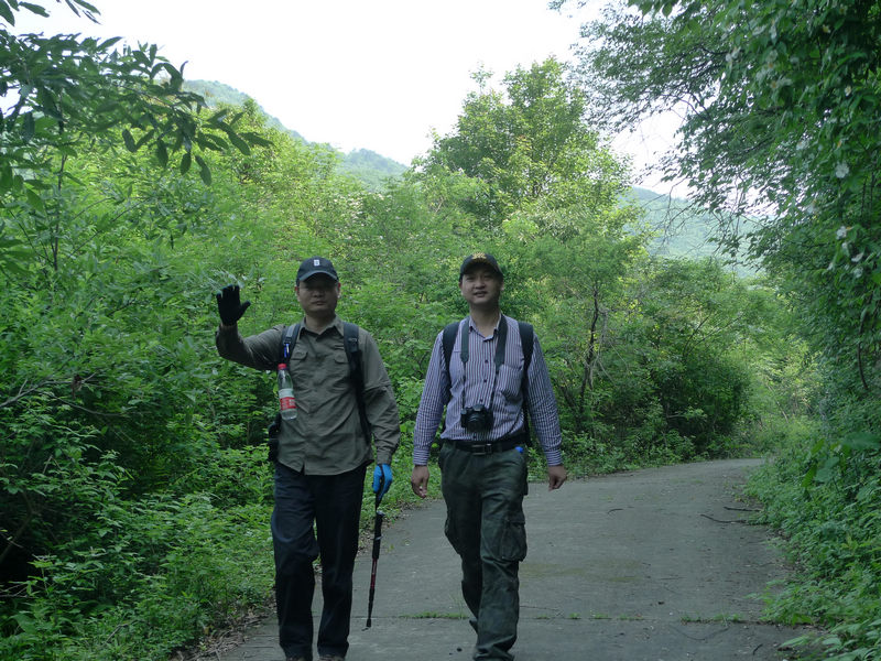p1080934.jpg