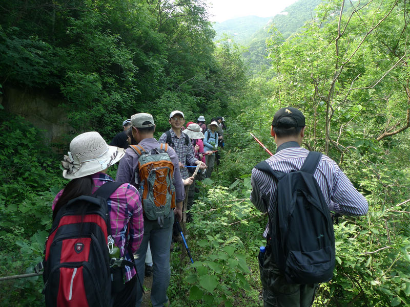 p1080937.jpg