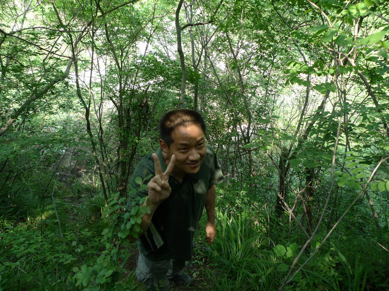 p1080943.jpg