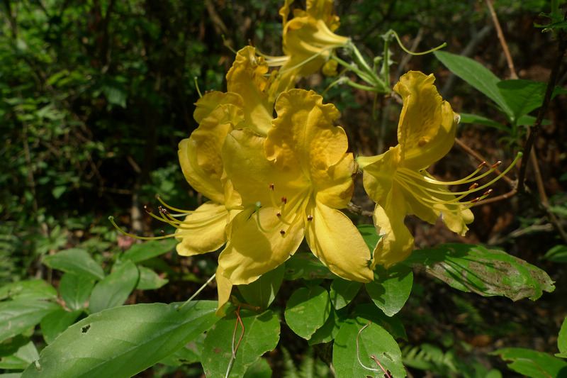 p1090042.jpg