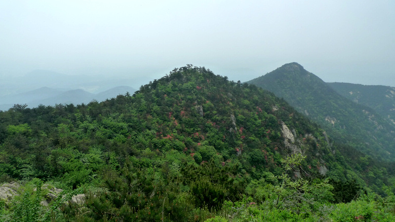 p1090022.jpg