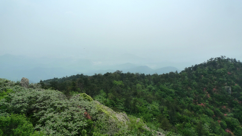 p1090024.jpg