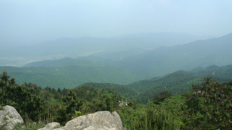 p1090025.jpg