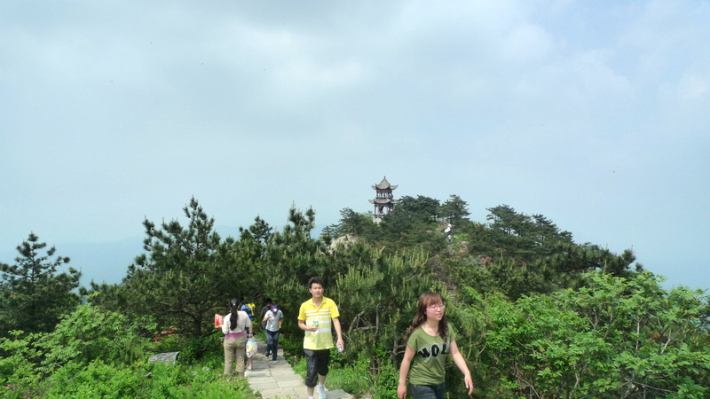 p1090023.jpg