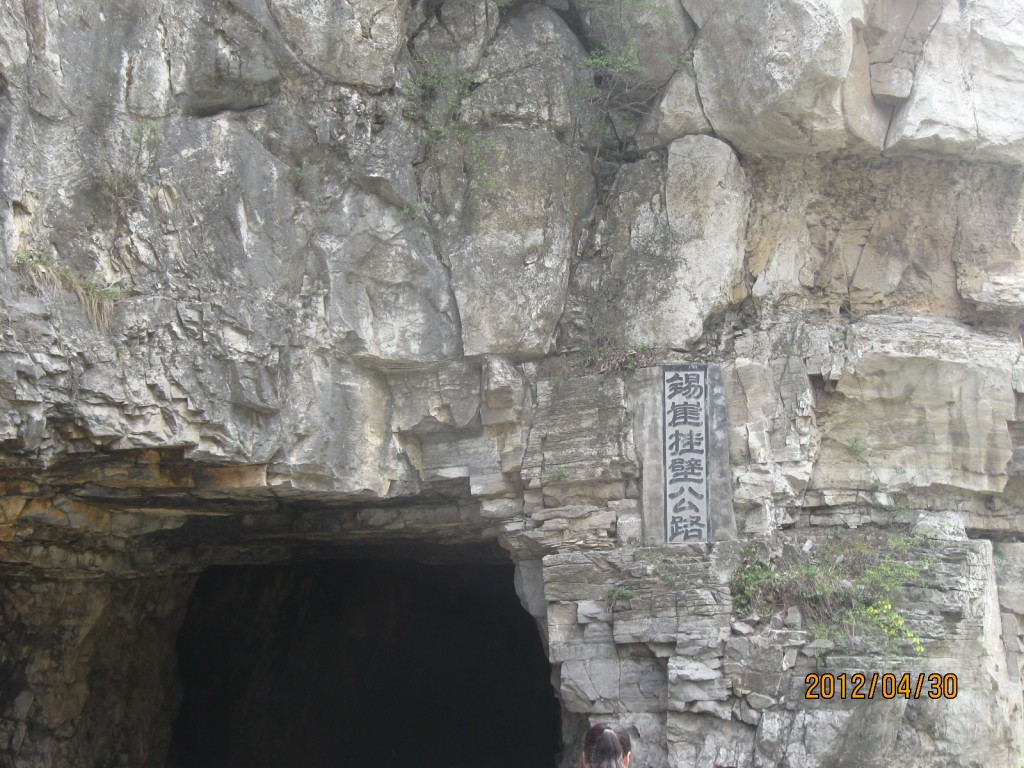 conew_img_5167.jpg