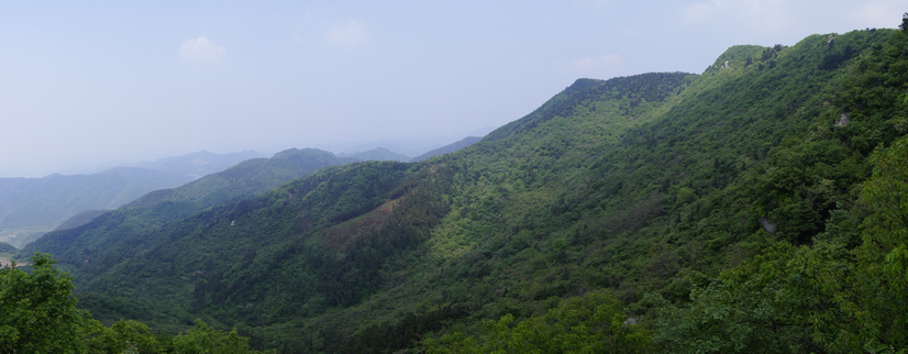 _dsc0938.jpg