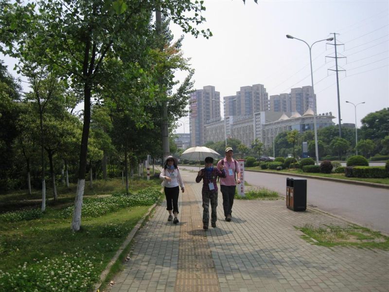 37.jpg