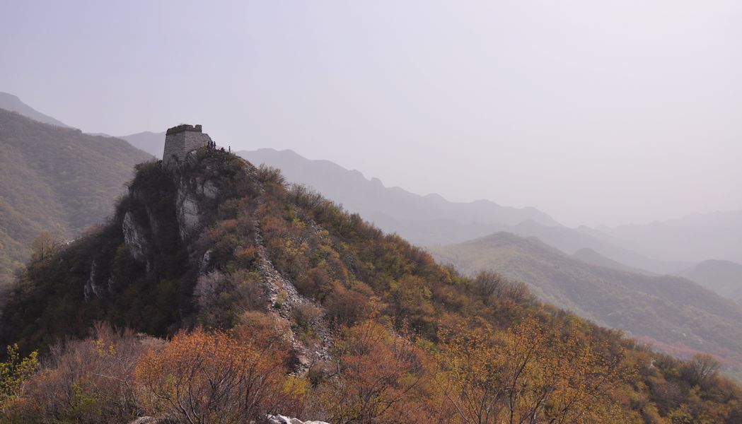 dsc_0493.jpg