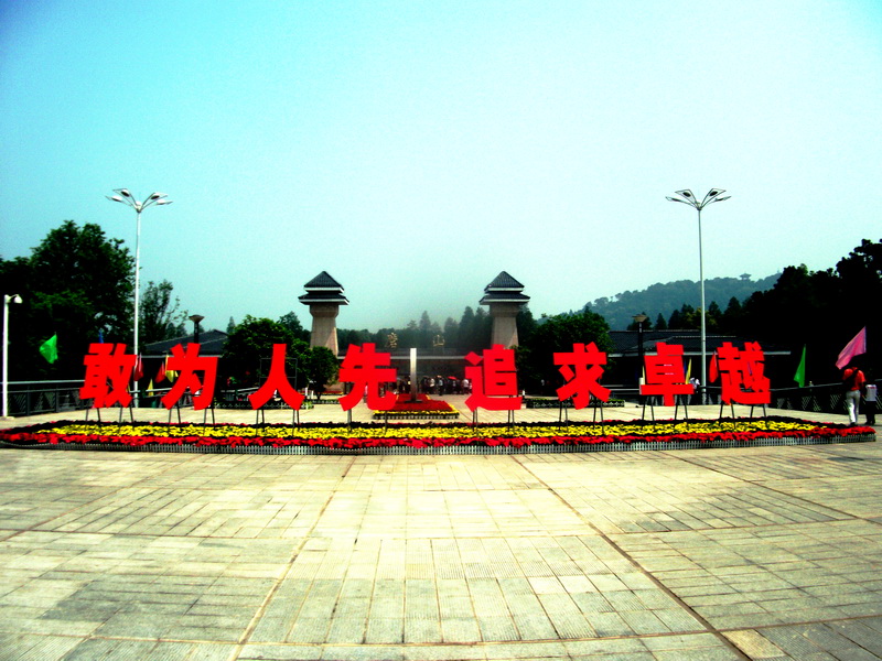 dscf0181.jpg