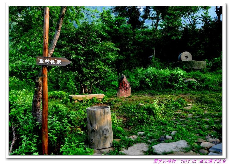neo_img_dsc_0048.jpg